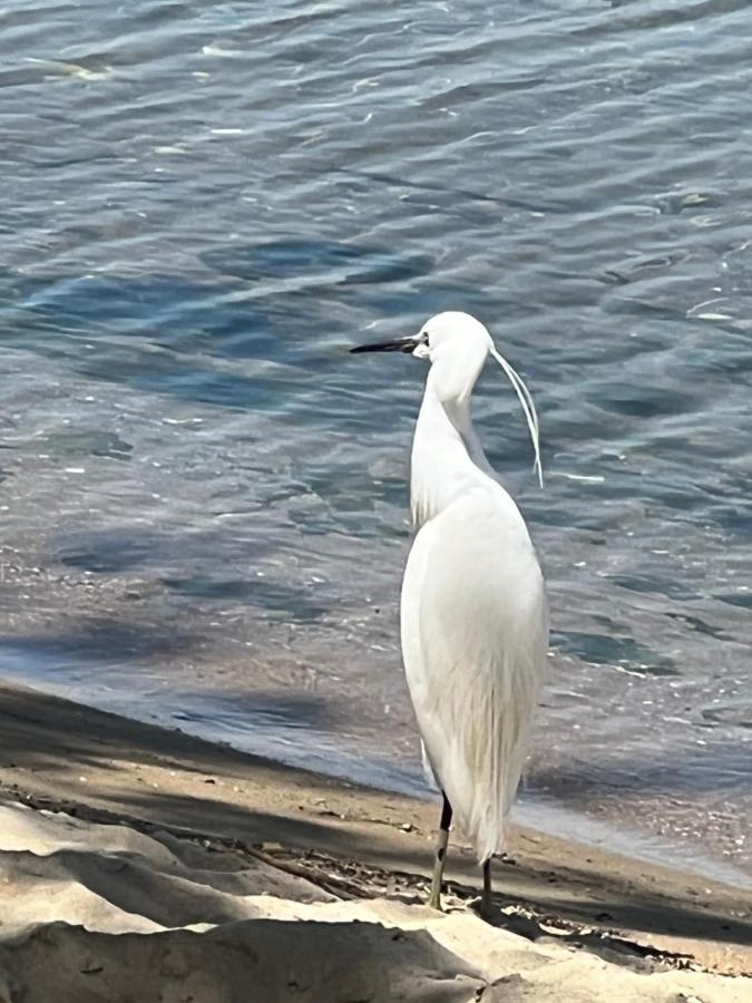 Kallithea Nea Iraklitsa Exteriér fotografie
